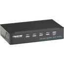 Black Box DVI-D Splitter with Audio and HDCP, 1 x 4 - PEGASUSS 