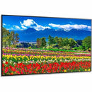 Sharp NEC Display 75" Ultra High Definition Professional Display With ATSC/NTSC Tuner - PEGASUSS 