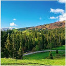 LG LFCM039-GN Digital Signage Dispaly - PEGASUSS 