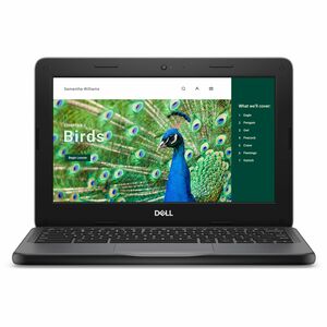 Dell Chromebook 3000 3120 11.6" Touchscreen Clamshell Chromebook - HD - Intel N-Series N100 - 4 GB - 64 GB Flash Memory - English (US) Keyboard - Gray - PEGASUSS 