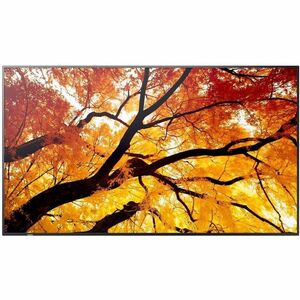 Sharp 32" Professional Grade Display