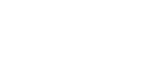 PEGASUSS 