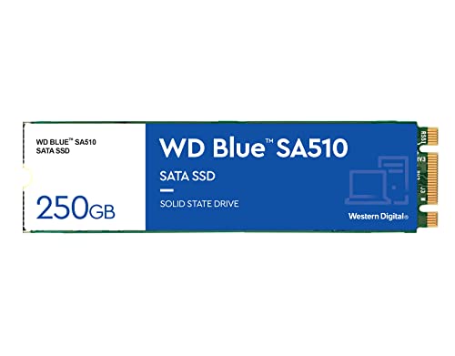 WD Blue SA510 M.2 SATA SSD - PEGASUSS 