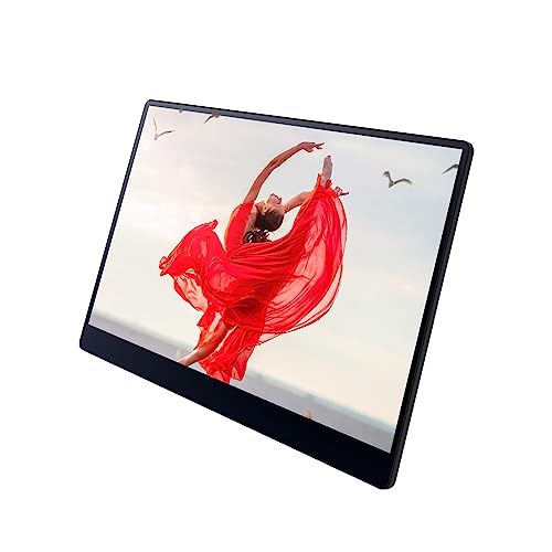 Ricoh Portable 15.6" Vivid OLED Lightweight Display Monitor and Touchscreen - for Laptop, Desktop, Mac, PC - PEGASUSS 