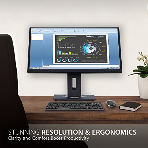 ViewSonic Ergonomic Monitor - PEGASUSS 